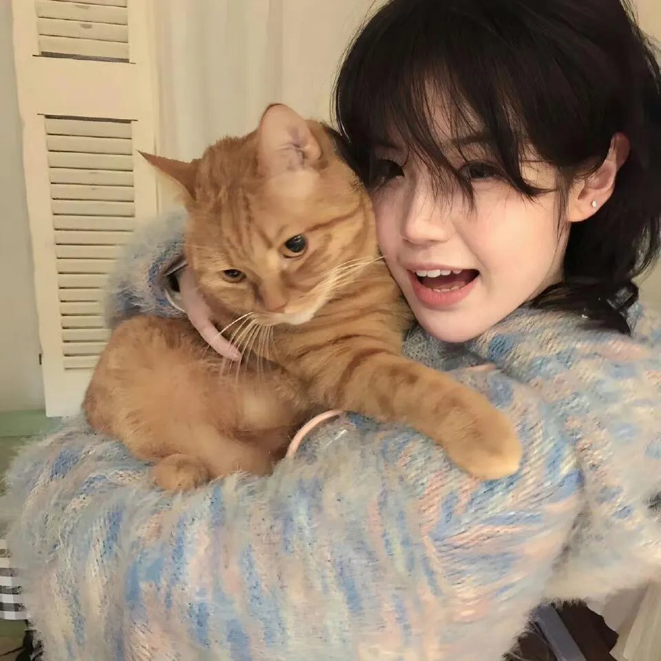 品契克利夫大奖赛