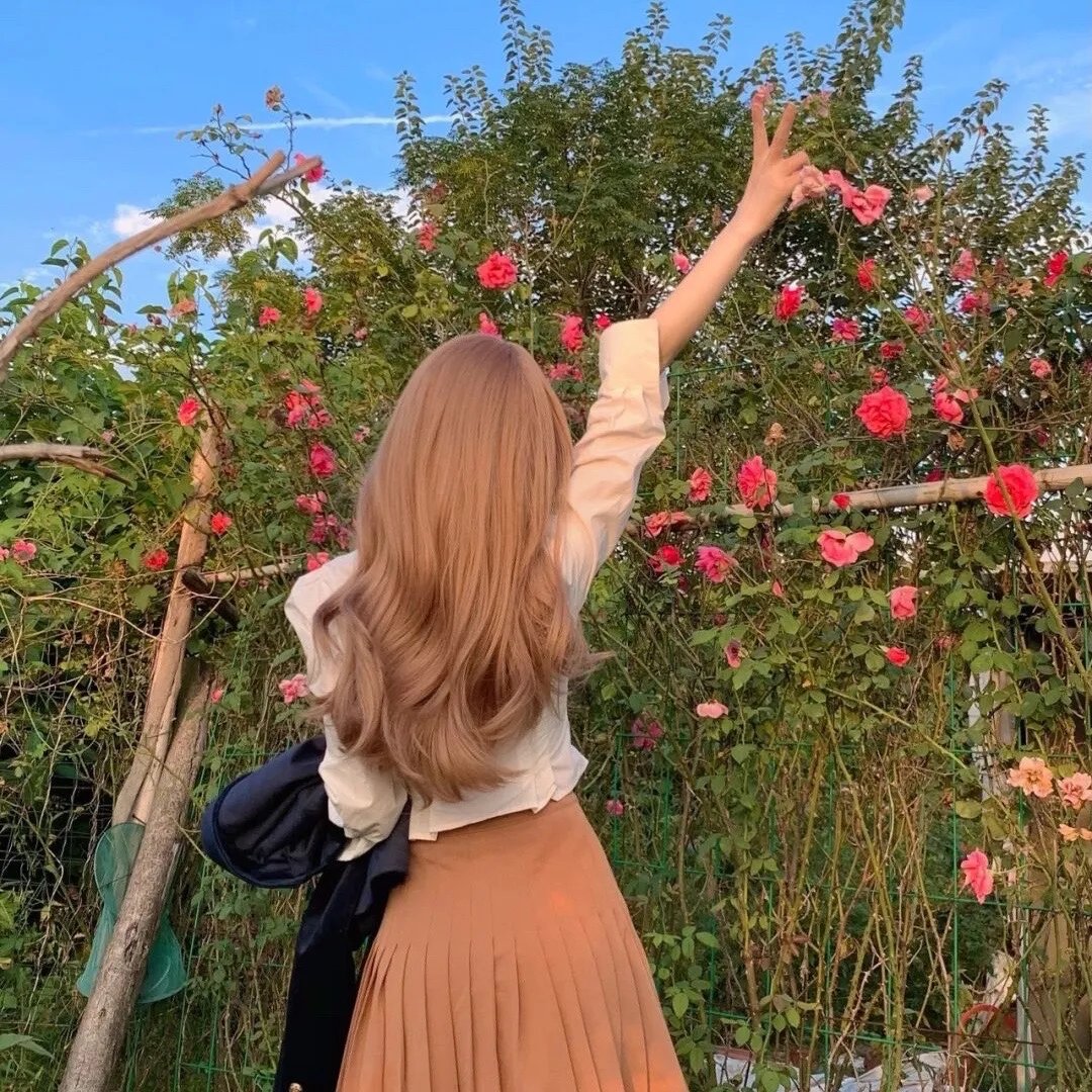 夏天的夜空、秋天的夕阳、冬天的早上和春天的风